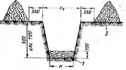 5.jpg?lang=ru